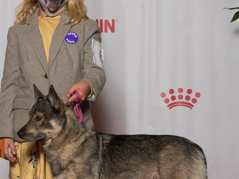 Firefly Farms photo 1