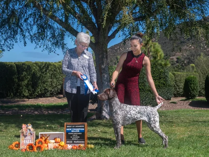 Fireheart German Shorthaired Pointers