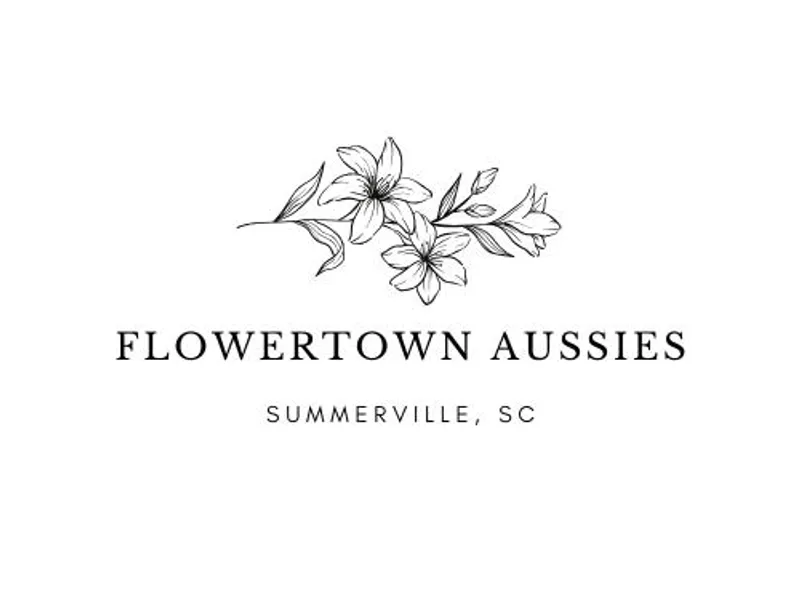 Flowertown Aussies