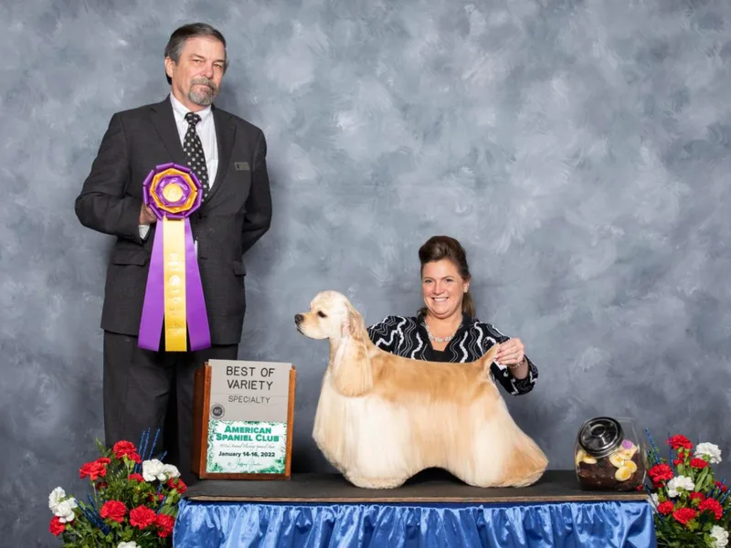 Foley's Cocker Spaniels