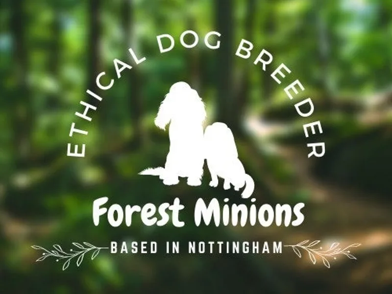 Forest Minions photo 1
