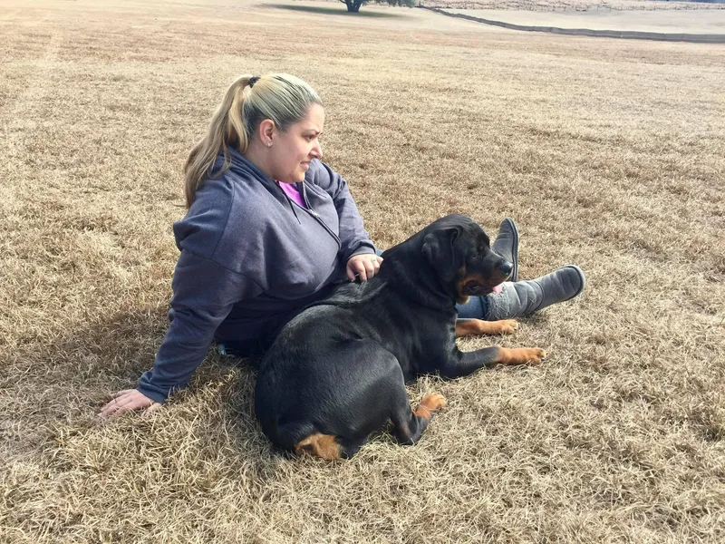 Forte Bello Rottweilers