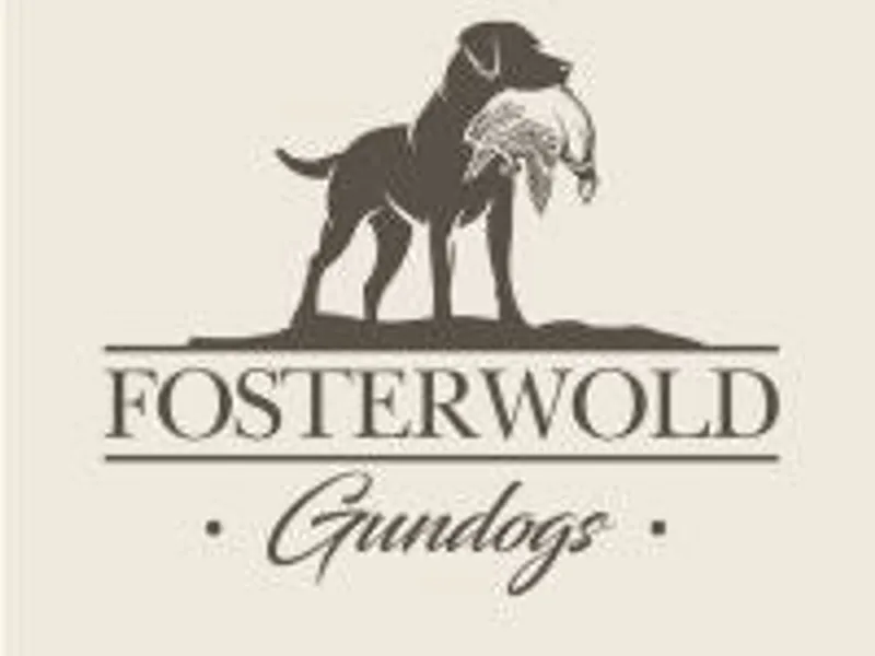 FosterWold Gundogs photo 1