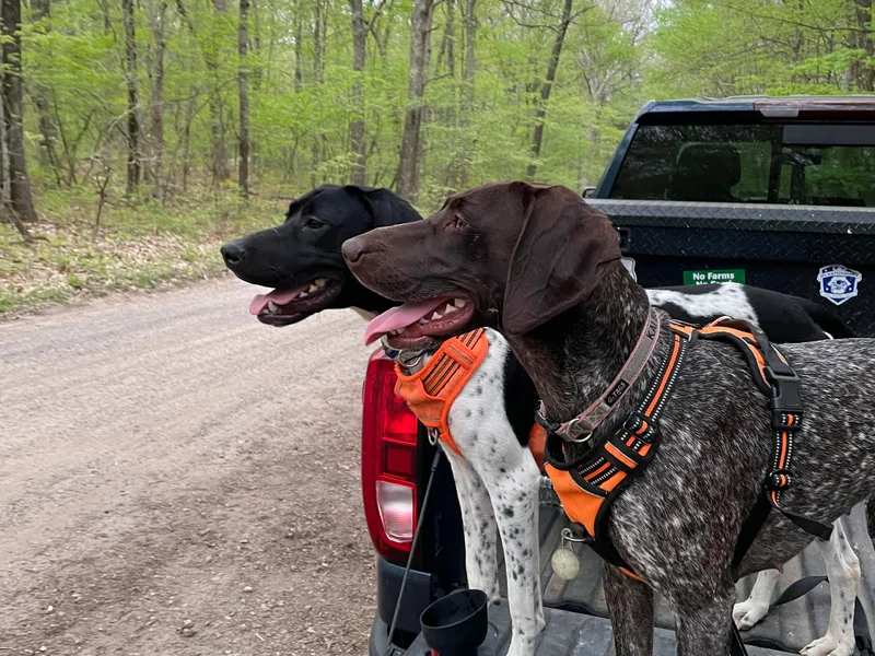 Fox Hollow Homestead