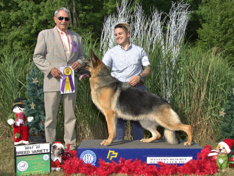 Frankenhaus German Shepherds
