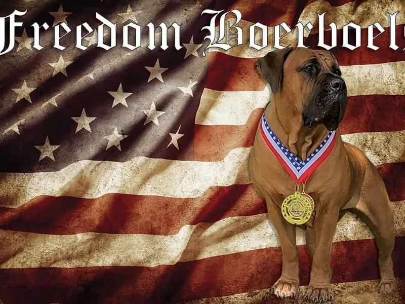 Freedom Boerboels LLC