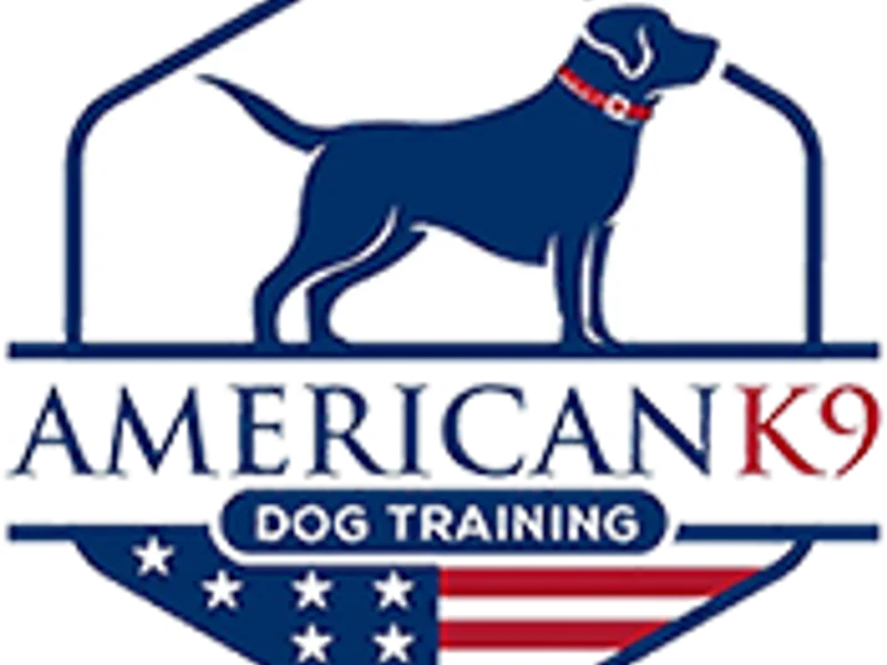 Freedom Ranch Labradors