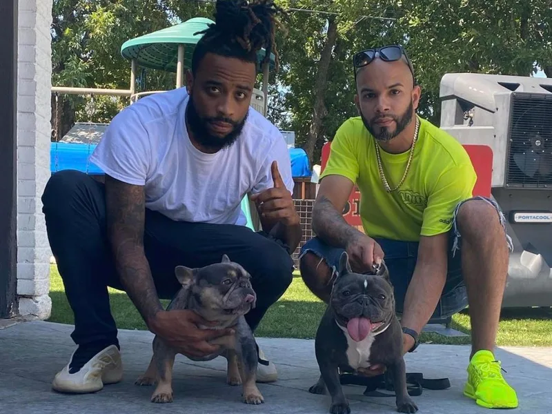 Frenchieinnovations photo 1