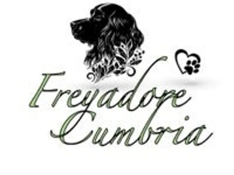 Freyadore Cumbria photo 1