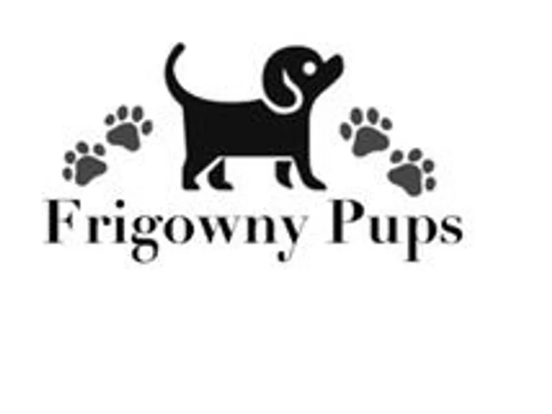Frigowny Pups photo 1