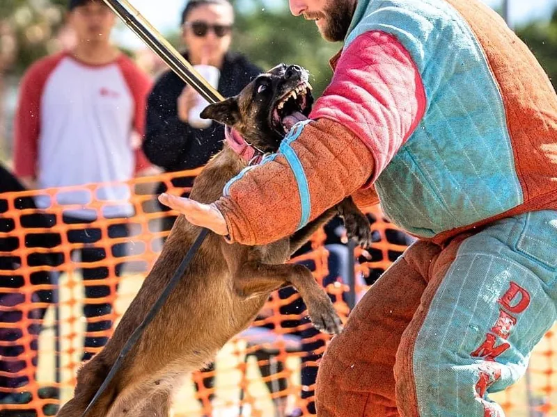 Fromage Malinois photo 1