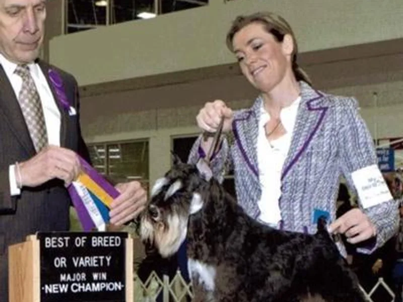 Front Runner Miniature Schnauzers