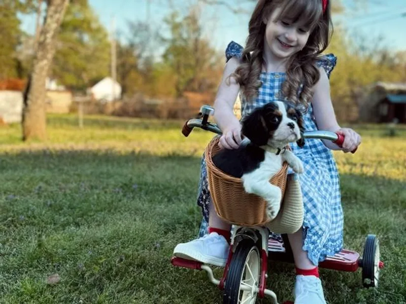 Frosty’s Cavaliers