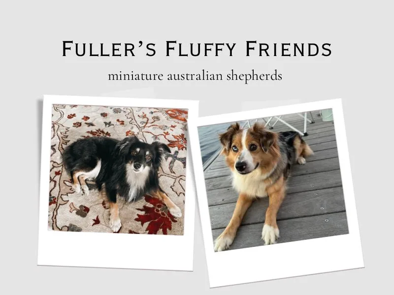 Fuller’s Fluffy Friends