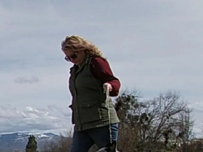 FullMoon Cattle Dogs