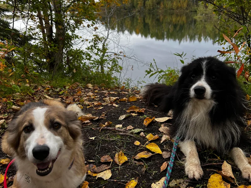 Fun On The Run Kennel