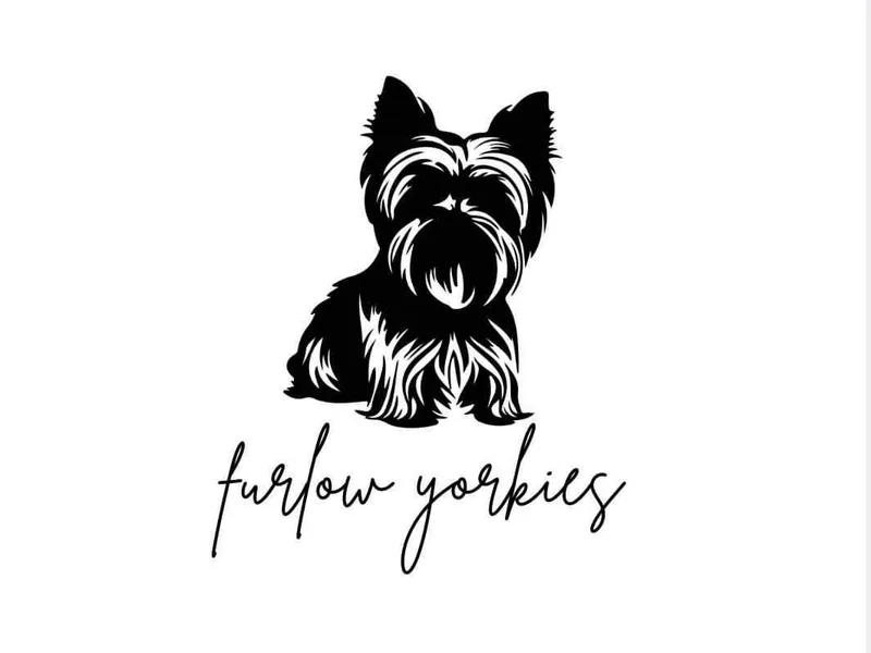 Furlows La Yorkies