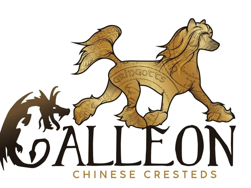 Galleon Chinese Cresteds