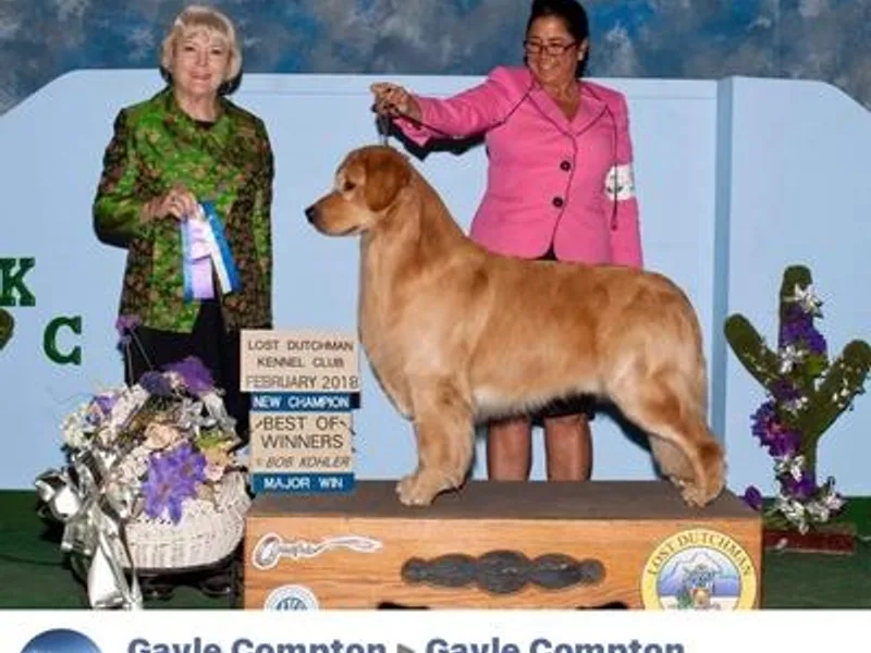 Gayle Compton photo 1