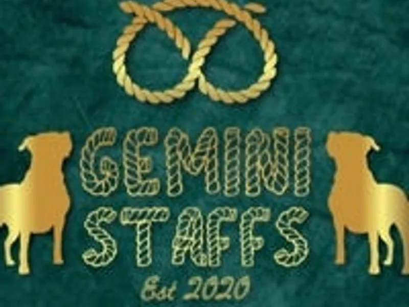 Geministaffs photo 1