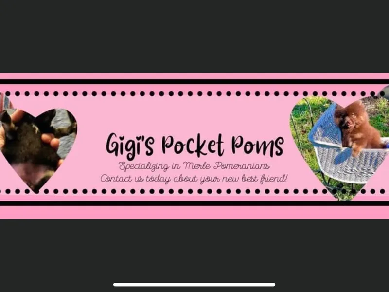Gigi’s Pocket Poms