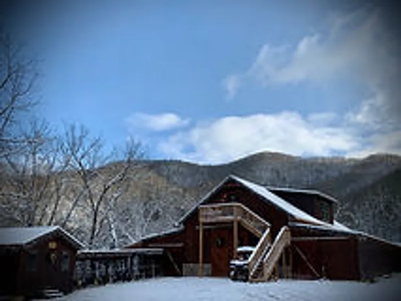 “Git Along Little Doggies” (540)553-4859