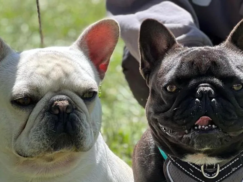 Glitz Bulliez