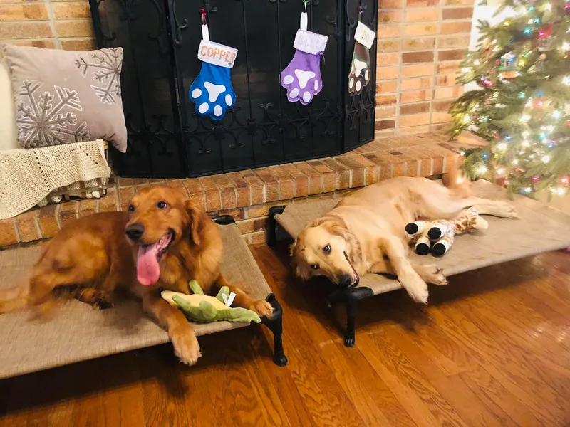 Goldens of the Groves LLC.