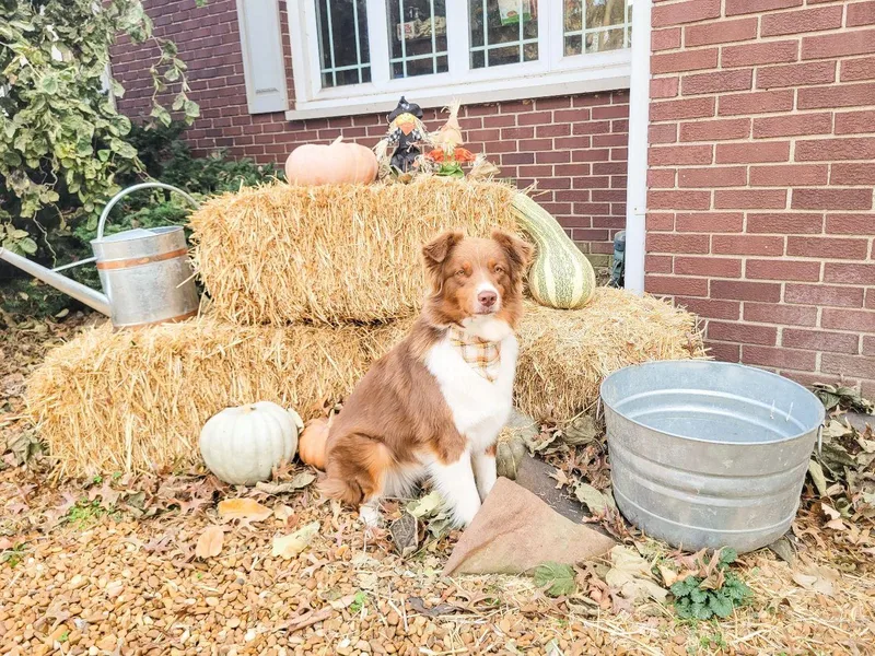 Gordon and Sons Farms