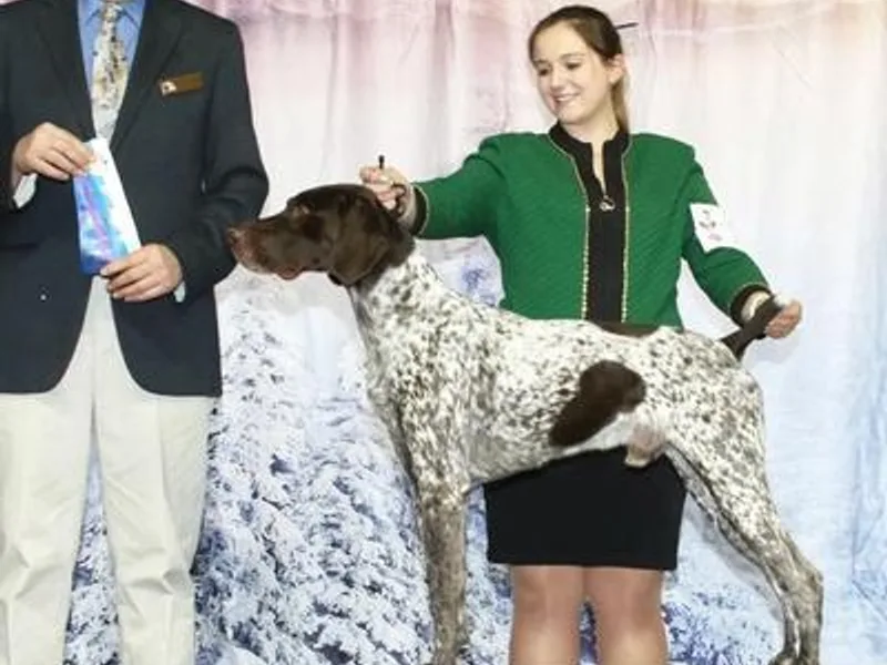 Gotchaby German Shorthaired Pointers