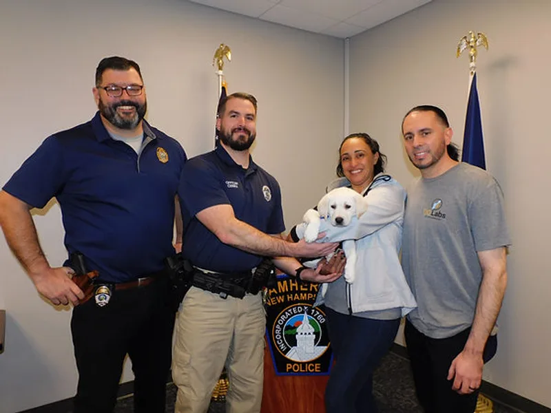 GQ Labs of New England