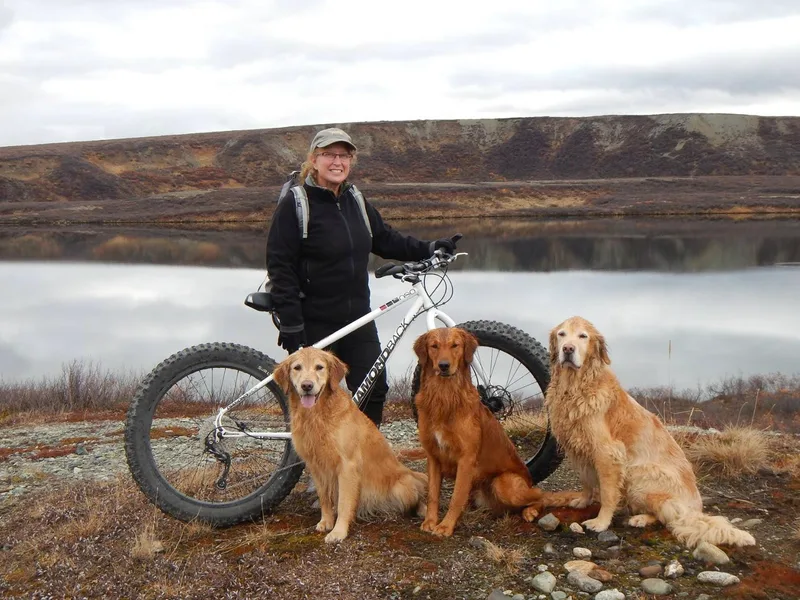 Grayling Golden Retrievers
