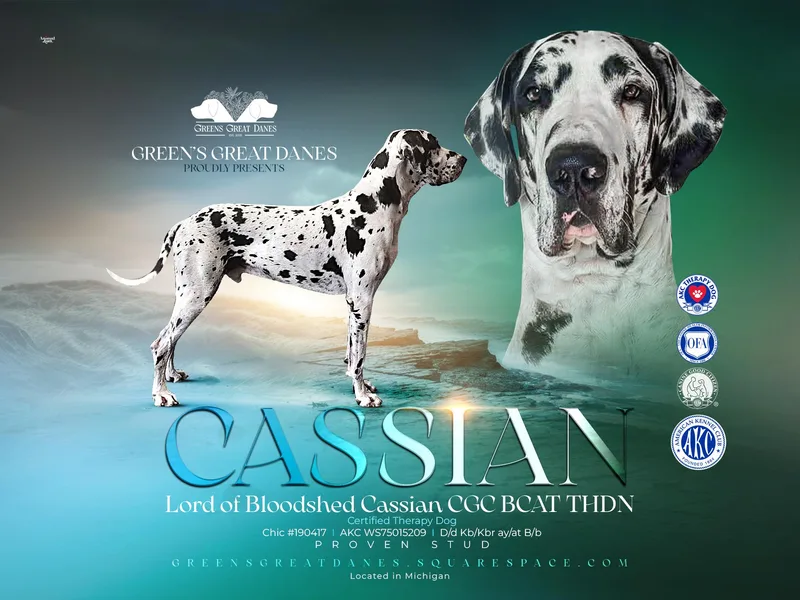 Green’s Great Danes