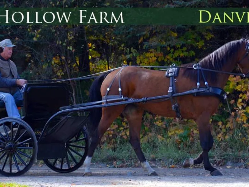 Greenbank Hollow Farm