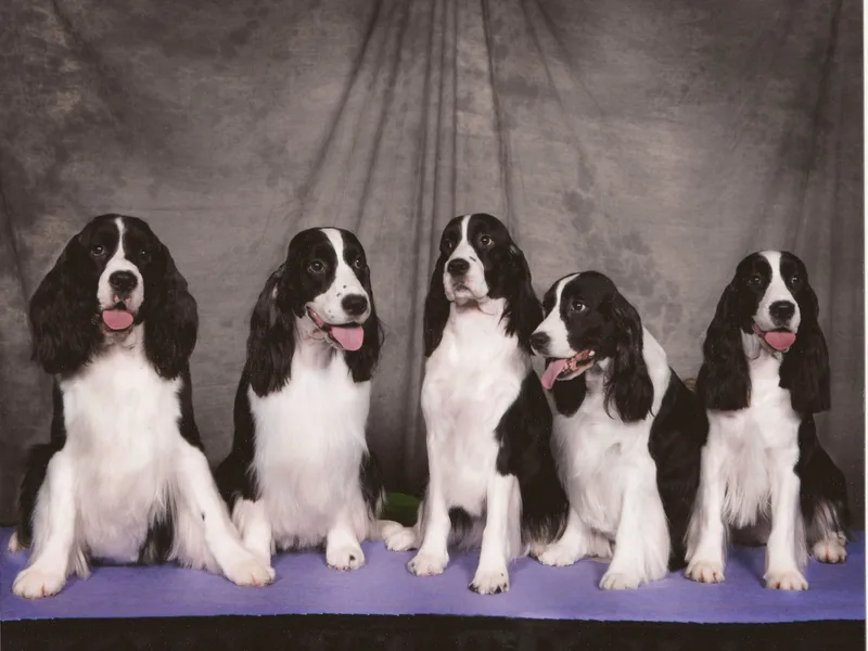 Greta Dalrymple - Stonehenge