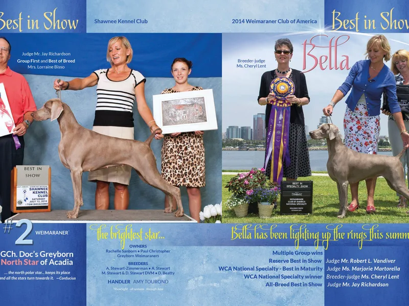 Greyborn Weimaraners