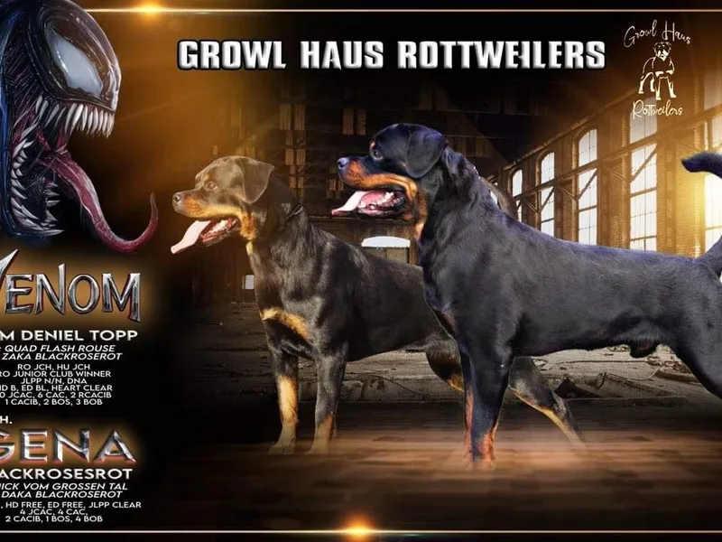 GrowlHausRotts