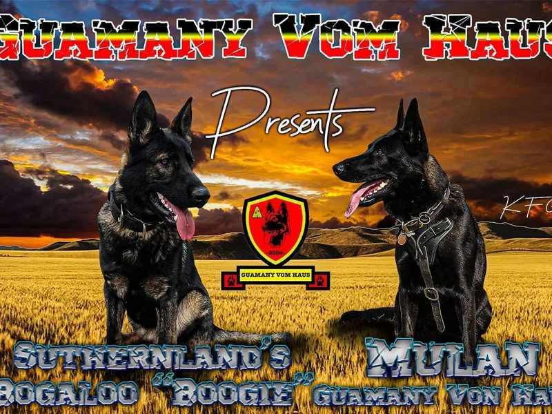 Guamany K9 Vomhaus