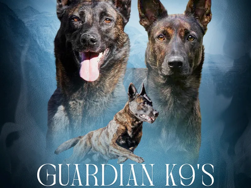Guardian K9s