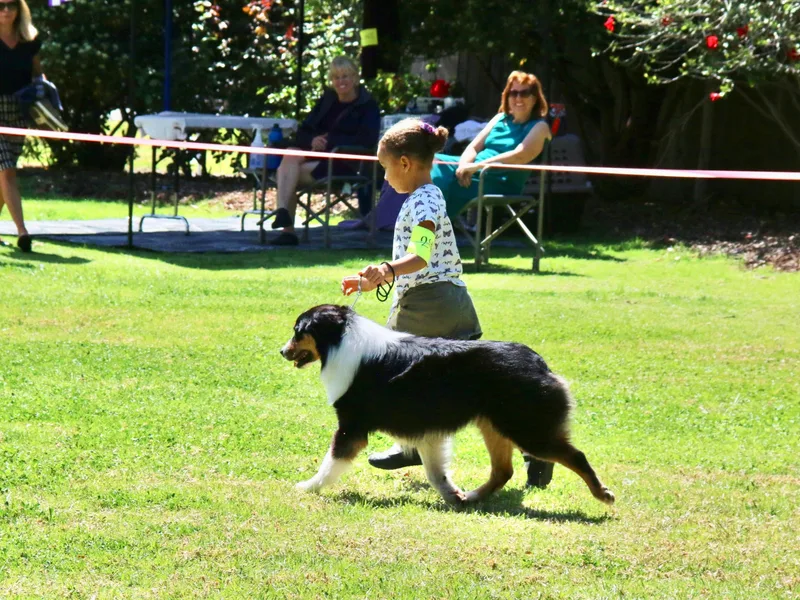 Guiding Light Aussies