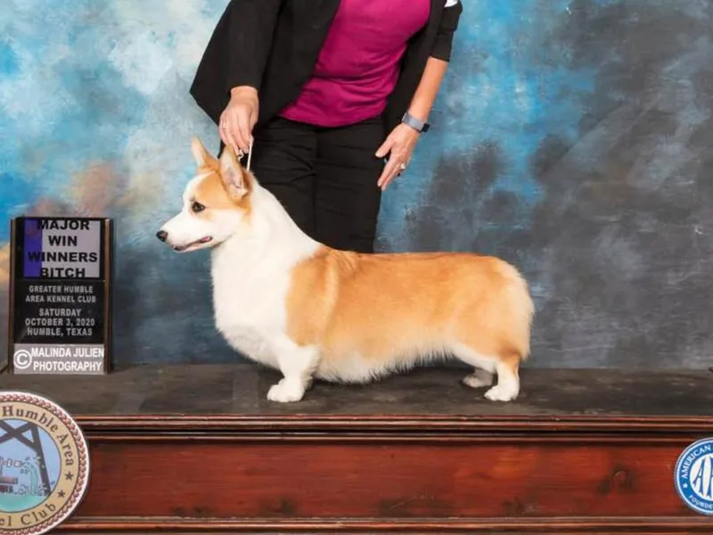 Gwen Nerren photo 1