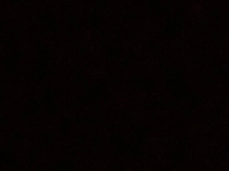 Haileigh's Papillons