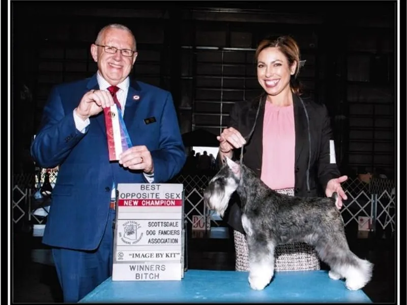 Hall Miniature Schnauzers