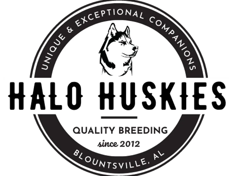 Halo Huskies
