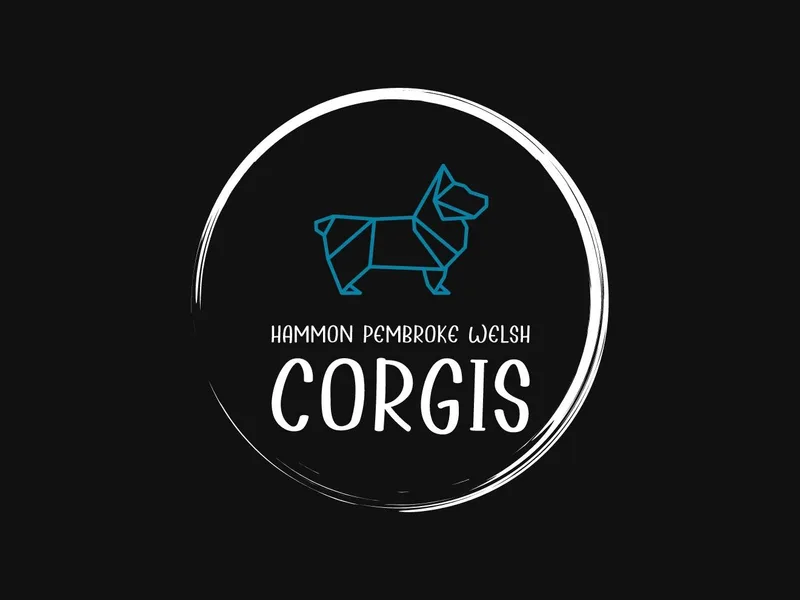 Hammon Pembroke Welsh Corgis