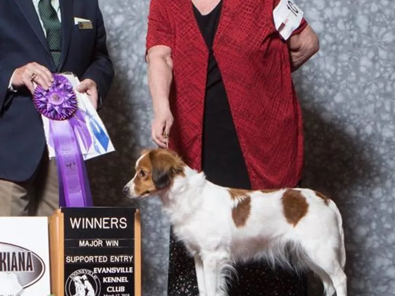 Hanabi Kooikerhondje