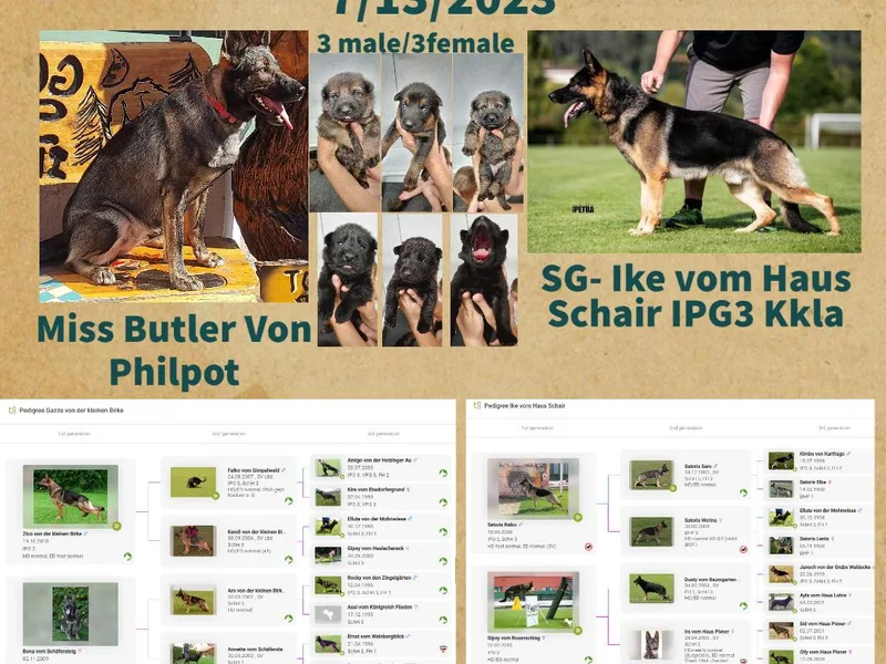 Hanson Hill Farm, LLC