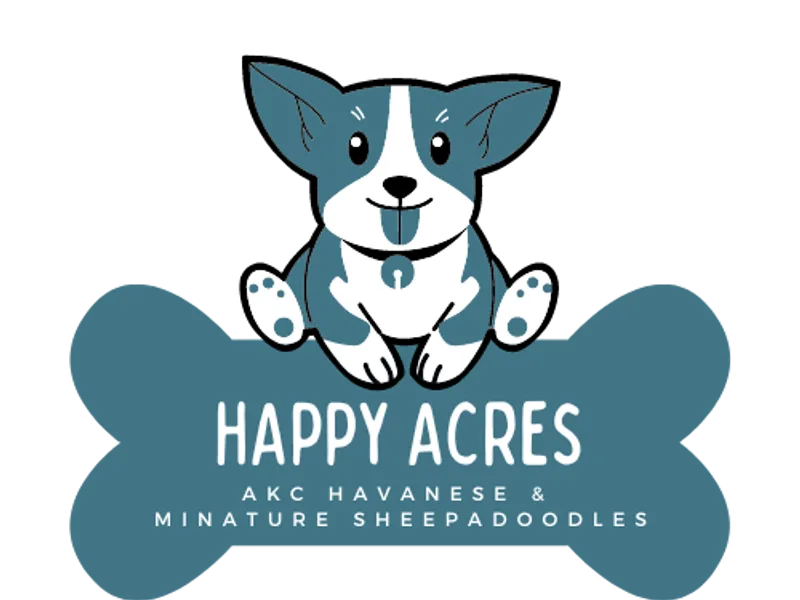 Happy Acres Havanese