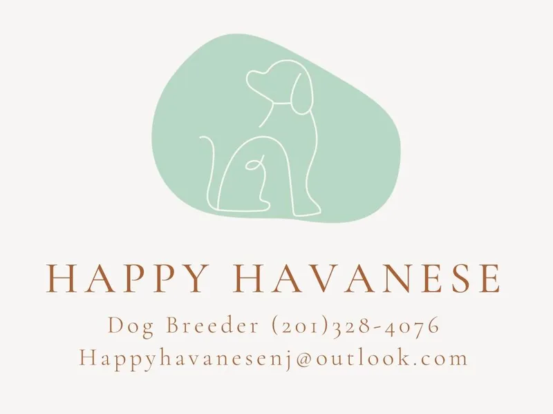 Happy Havanese NJ