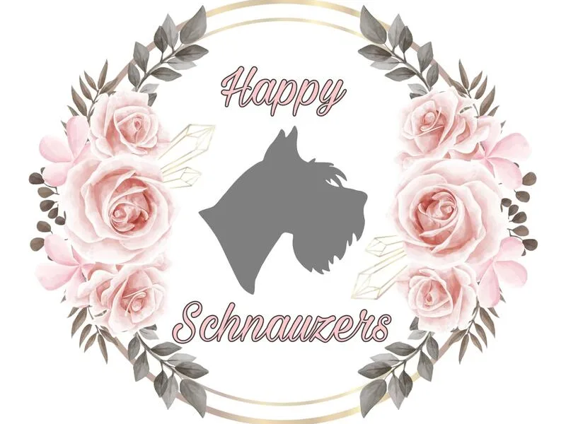 Happy Schnauzers of Kansas